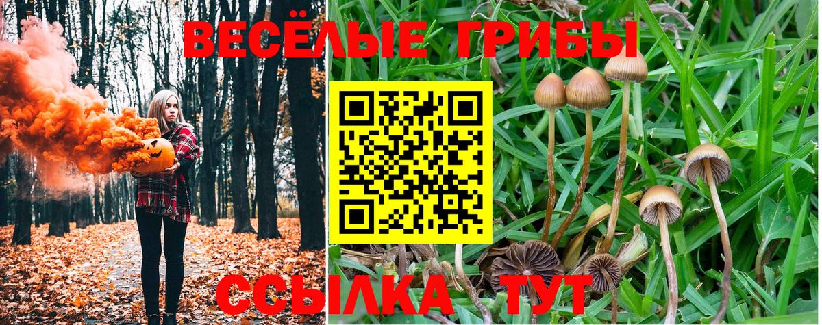 Галлюциногенные грибы Cubensis Михайловка